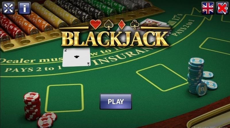 Double Down - Double your bet to maximize your profits.